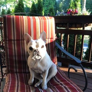 Meet your Posher, Jenell